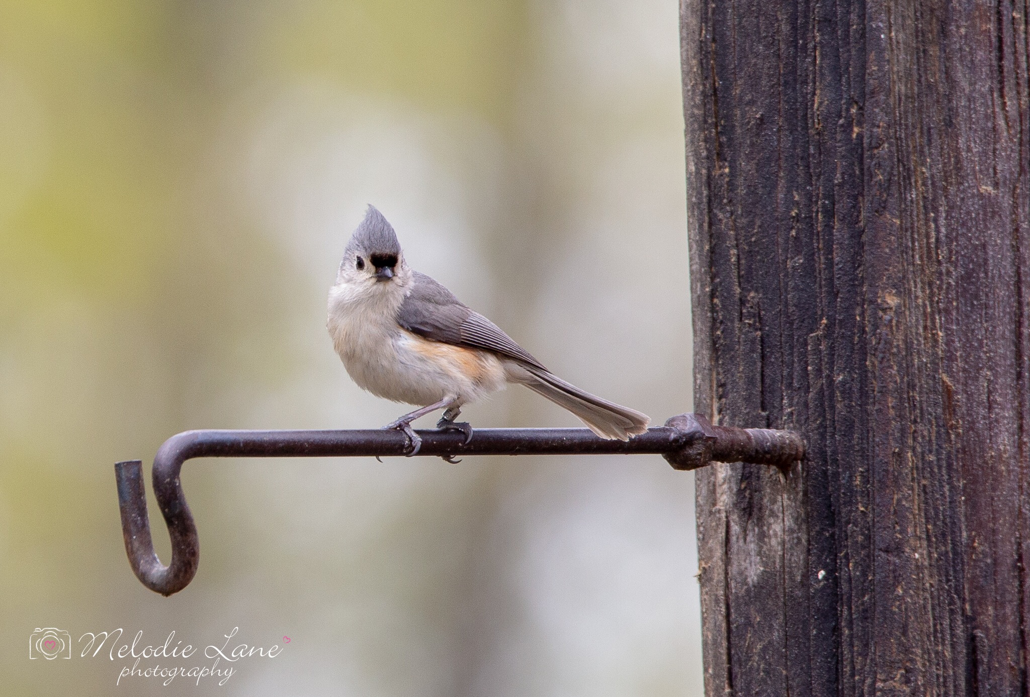 Meeting Photo Slide Show